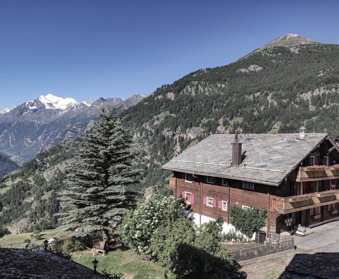 Berghotel Weisshorn Torbel Экстерьер фото